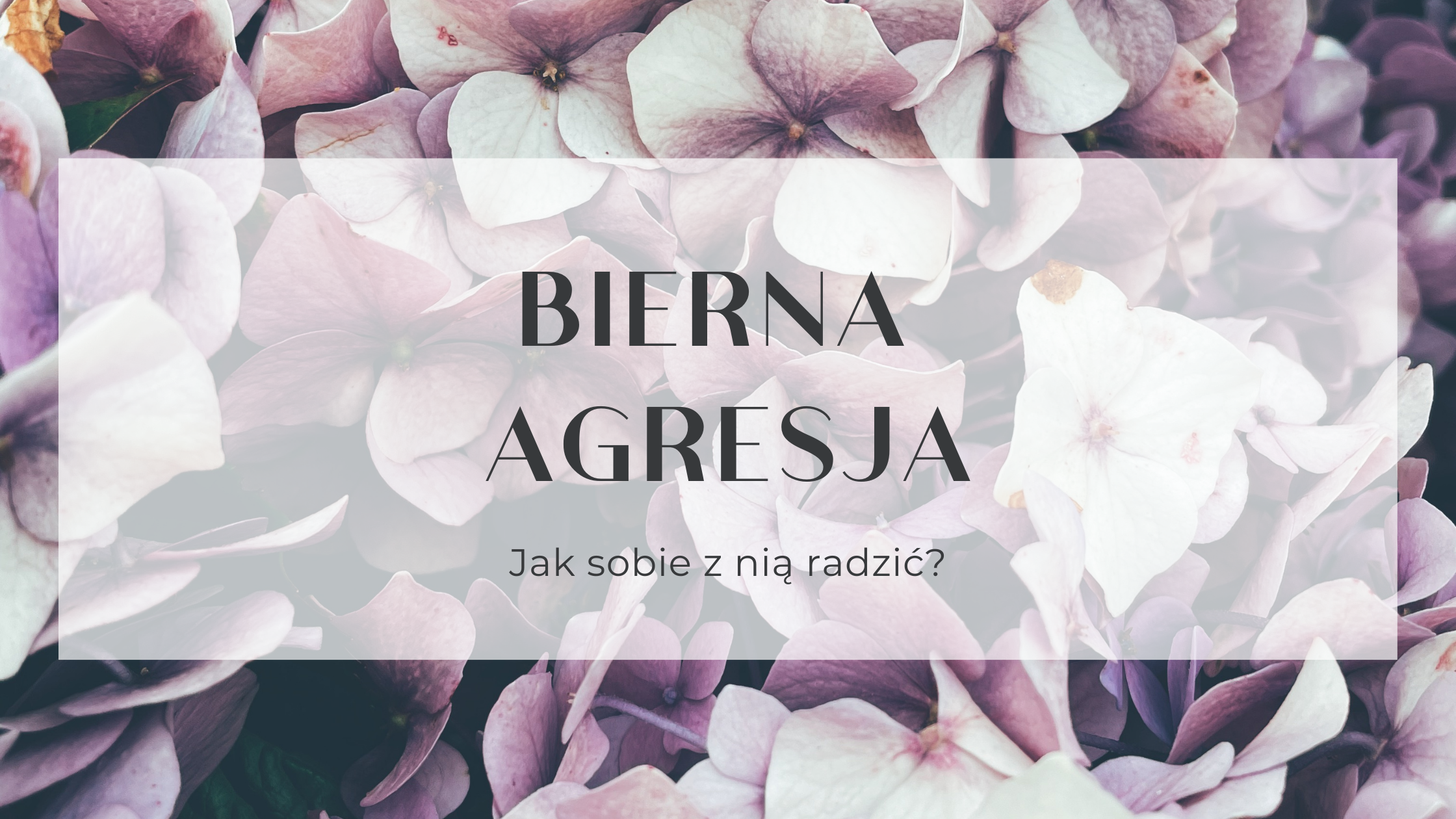 You are currently viewing Bierna Agresja