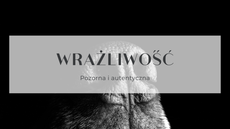 Read more about the article Wrażliwość