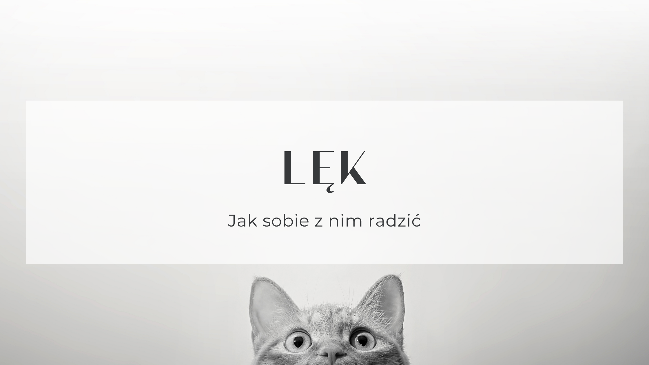 You are currently viewing Lęk